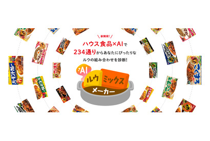 AIが好みのカレールウ黄金比を教えてくれる…今すぐ診断してみよう 画像