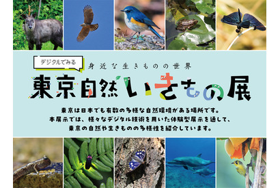 【夏休み2025】デジタルでみる東京自然いきもの展8/2より 画像