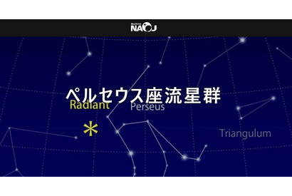 ペルセウス座流星群、8/11から3夜がチャンス 画像