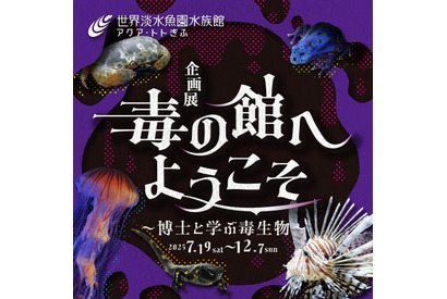 知られざる生態に迫る「毒の館へようこそ」アクア・トト ぎふ企画展 画像