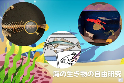 【夏休み2025】「海とさかな」自由研究・作品コンクール、9/26応募締切 画像