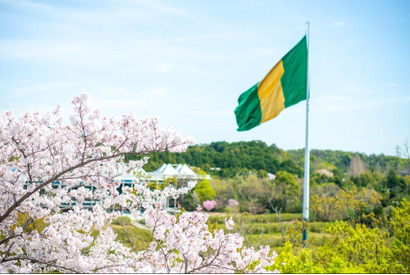 【大学受験2026】名古屋商科大、最大360万円給付「特別奨学生入試」11月出願開始 画像