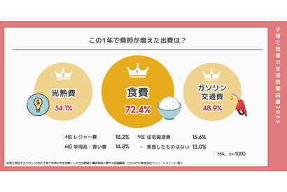 家計の負担増9割が実感、食費・光熱費・交通費の三重苦 画像