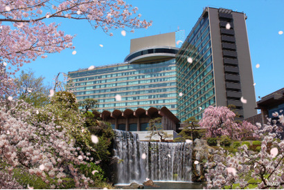 【大学受験2026】ホテルニューオータニの受験生プラン…洗濯から弁当まで完備 画像