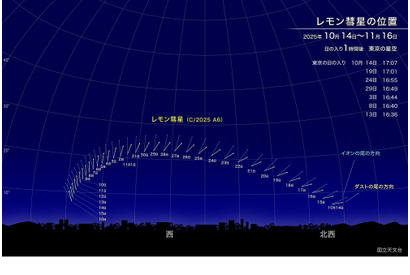 新発見のレモン彗星、10月下旬が観察好期…次回接近は1100年後 画像