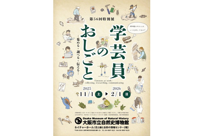 特別展「学芸員のおしごと」大阪市立自然史博物館…2/1まで 画像