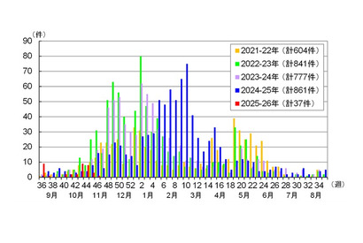 感染性胃腸炎、東京都が注意喚起…予防ポイントも 画像