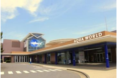 JR東日本、親子向け「アクアワールド・大洗の旅」第2弾2/14 画像