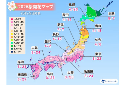 桜開花予想、東京3/22…つぼみ調査で西日本は「先が黄色に」 画像