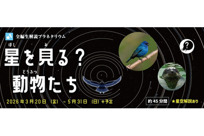 多摩六都科学館、プラネタリウム「星を見る？動物たち」5/31まで 画像