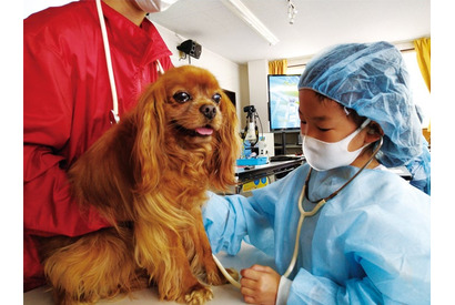 小学生対象「獣医さん体験スクール」愛知4/11-12 画像