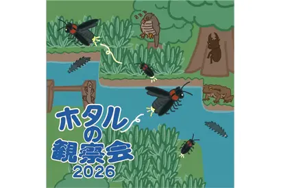 東京・練馬で「ホタルの観察会」6-7月…展示や体験も 画像
