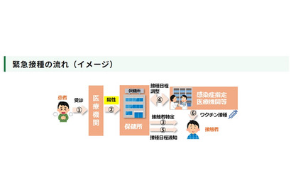 東京都、麻しん接触者に無料ワクチン接種…緊急事業開始 画像