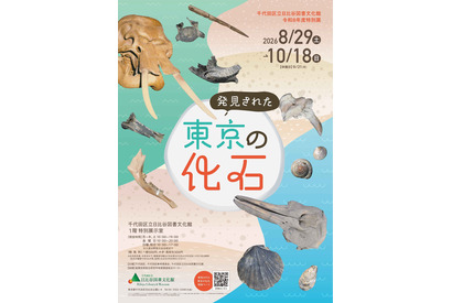 特別展「発見された東京の化石」日比谷図書文化館で8/29から 画像