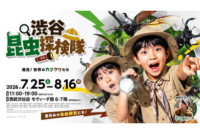 【夏休み2026】世界のカブトムシ・クワガタ大集合、渋谷で昆虫探検…自由研究にも 画像