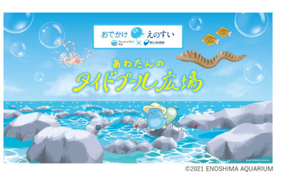 【夏休み2026】新江ノ島水族館がテラスモール湘南へ、海の生き物と学ぶ16日間 画像