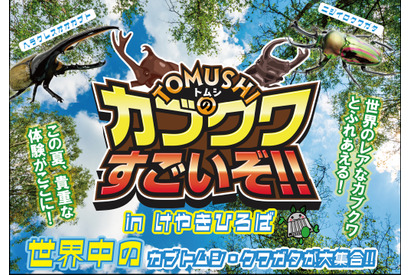 【夏休み2026】世界の人気昆虫が大集合…けやきひろば7/18 画像