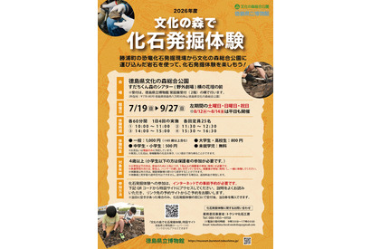 【夏休み2026】徳島県立博物館、化石発掘体験…小中生500円 画像