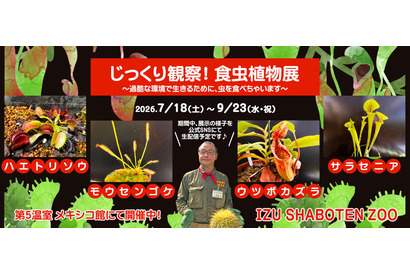 【夏休み2026】伊豆シャボテン動物公園「食虫植物展」7-9月…自由研究にも 画像