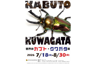 【夏休み2026】約1,700種の標本展示「世界のカブト・クワガタ展」静岡・磐田8/30まで 画像