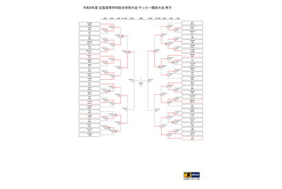 高校サッカー男子インターハイ、滝川第二・静岡学園が4強入り 画像