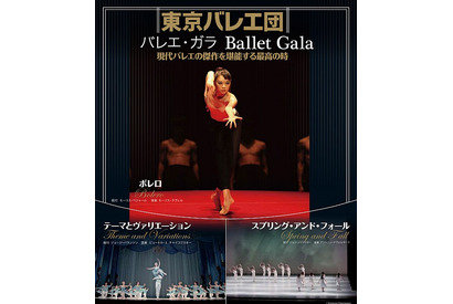 東京バレエ団、子どものためのバレエ「ねむれる森の美女」など公演予定が決定 画像