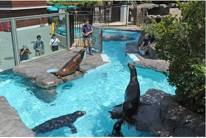 上野動物園など都立動物園・水族園で春休みイベント満載 画像