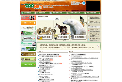 上野動物園、パンダのお披露目4/1に決定 画像