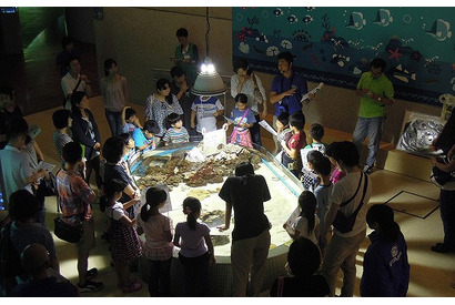 葛西臨海水族園、小学生親子向け「夜の観察会」9/28-29 画像