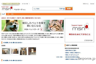 被災者とペットの再会を…MSNペットサーチ 画像