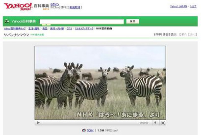 野生動物の生態を調べよう、Yahoo!百科事典にNHK映像を追加 画像