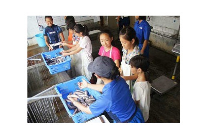 水族館で飼育係体験、小5・6対象「ジュニアトレーナー」6/8より5日間限定 画像