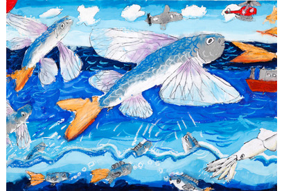 小学生対象「海とさかな」自由研究・作品コンクール、6/2より応募受付　 画像