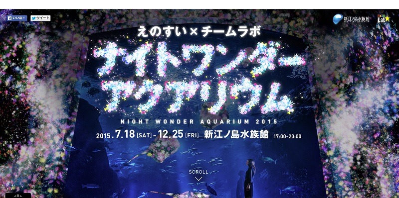 新江ノ島水族館 チームラボ 夜のスペシャルイベント12 25まで リセマム
