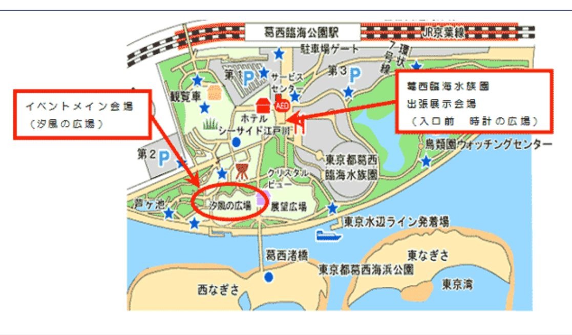 夏休み16 水鉄砲作りや出張水族館 葛西臨海公園8 21 リセマム