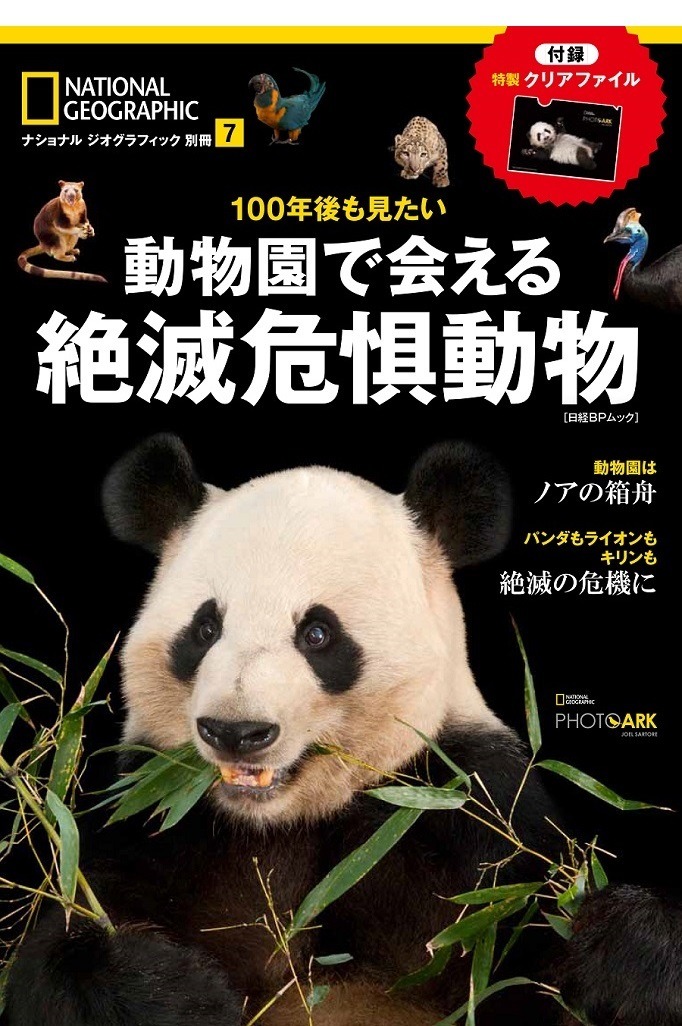 日本で見られる40種を紹介 動物園で会える絶滅危惧動物 リセマム
