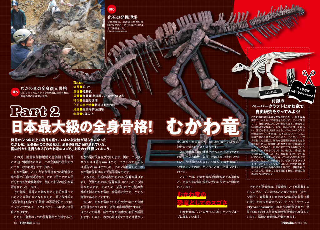 2021新春福袋】 トカゲ 恐竜 化石 置物 - www.mijugueteria.com.ec