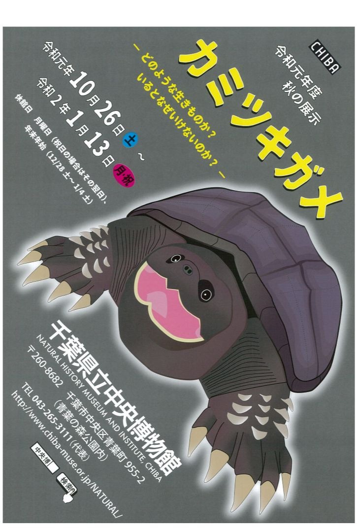 千葉県立中央博物館 外来種 カミツキガメ 展示 リセマム