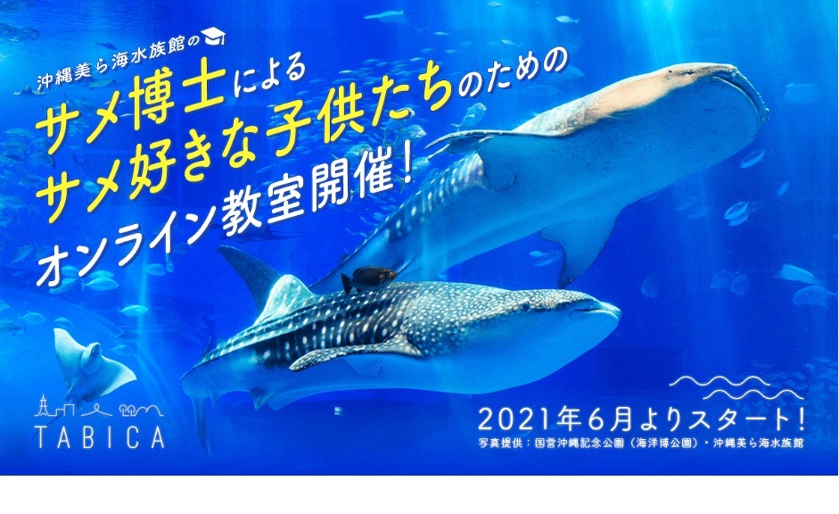美ら海水族館のサメ博士らによるオンライン教室6 26より リセマム