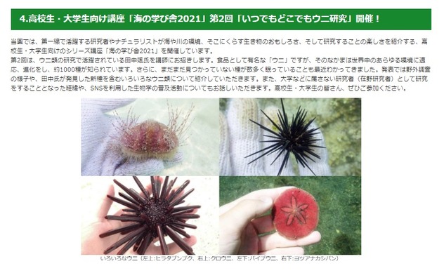 葛西臨海水族園 いつでもどこでもウニ研究 11 21 リセマム