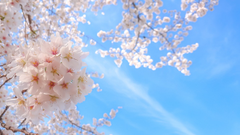 大学受験 東大現役合格者853名を生んだ東進の 人間力を高める指導方針 とは リセマム