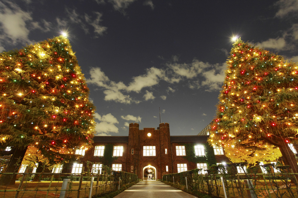立教大学で12 4 クリスマスツリー点灯式 リセマム