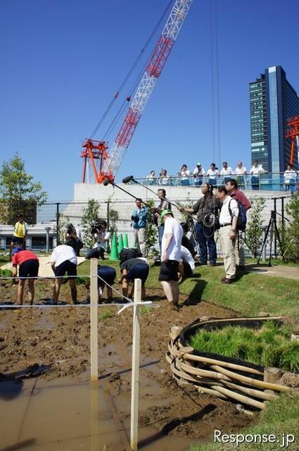 首都高速道路、大橋ジャンクションの換気所屋上に現れた水田で小学生が田植えを体験