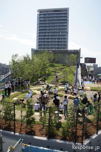 首都高速道路、大橋ジャンクションの換気所屋上に現れた水田で小学生が田植えを体験