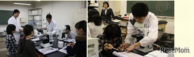 昨年の「秋のマドンナ」の様子