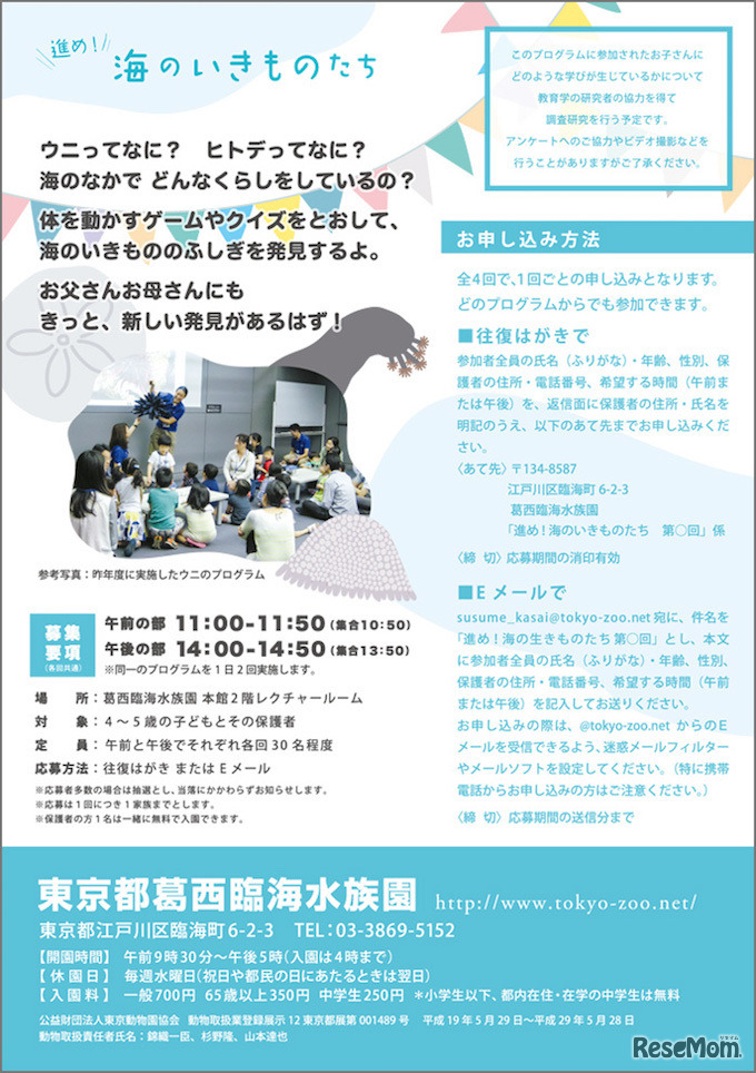 進め！海のいきものたち　開催内容