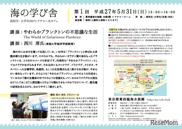 「やわらかプランクトンの不思議な生活」