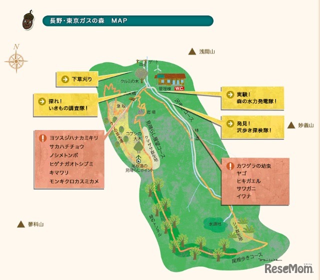 長野・東京ガスの森