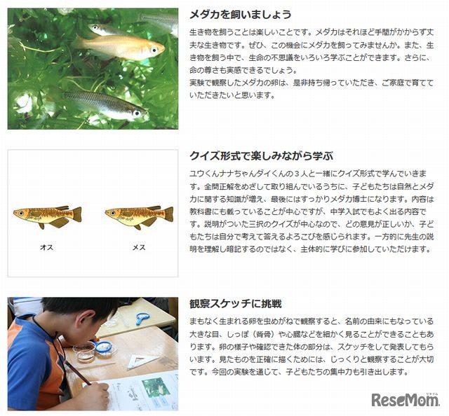 理科実験教室の内容