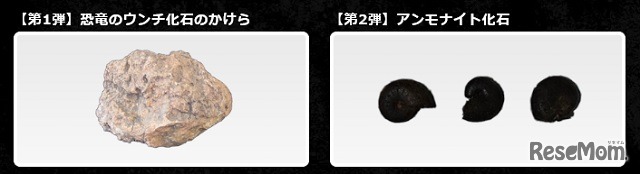 来場者プレゼント